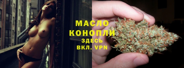 индика Барнаул