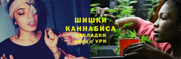 прущие грибы Медвежьегорск