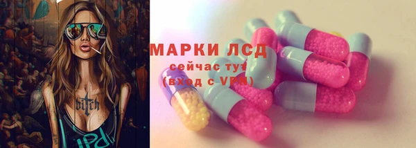 прущие грибы Медвежьегорск