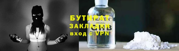 прущие грибы Медвежьегорск