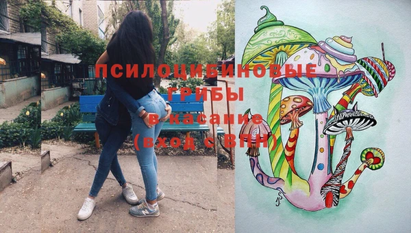 прущие грибы Медвежьегорск