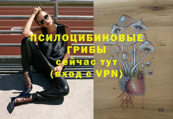 mdpv Медногорск