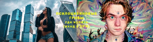 прущие грибы Медвежьегорск