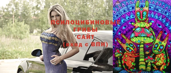 mdpv Медногорск